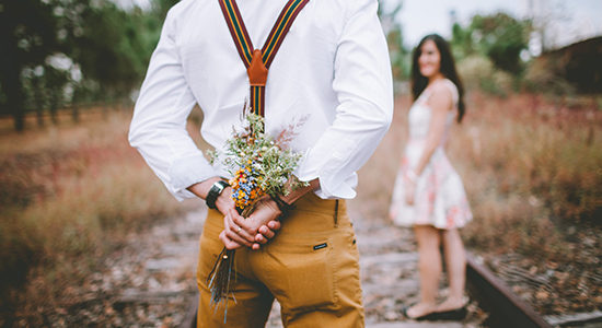 nature-1790142_1920-550px romantique
